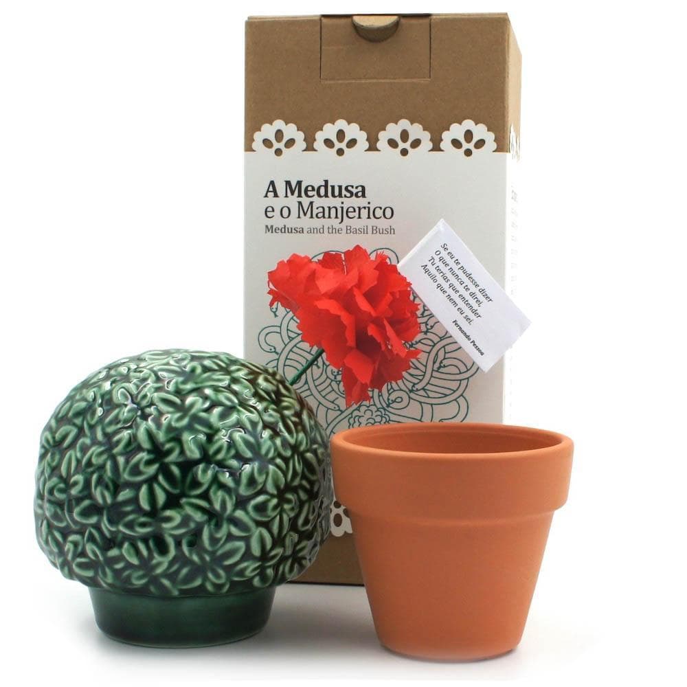 Medusa e o Manjerico I Earthenware plant
