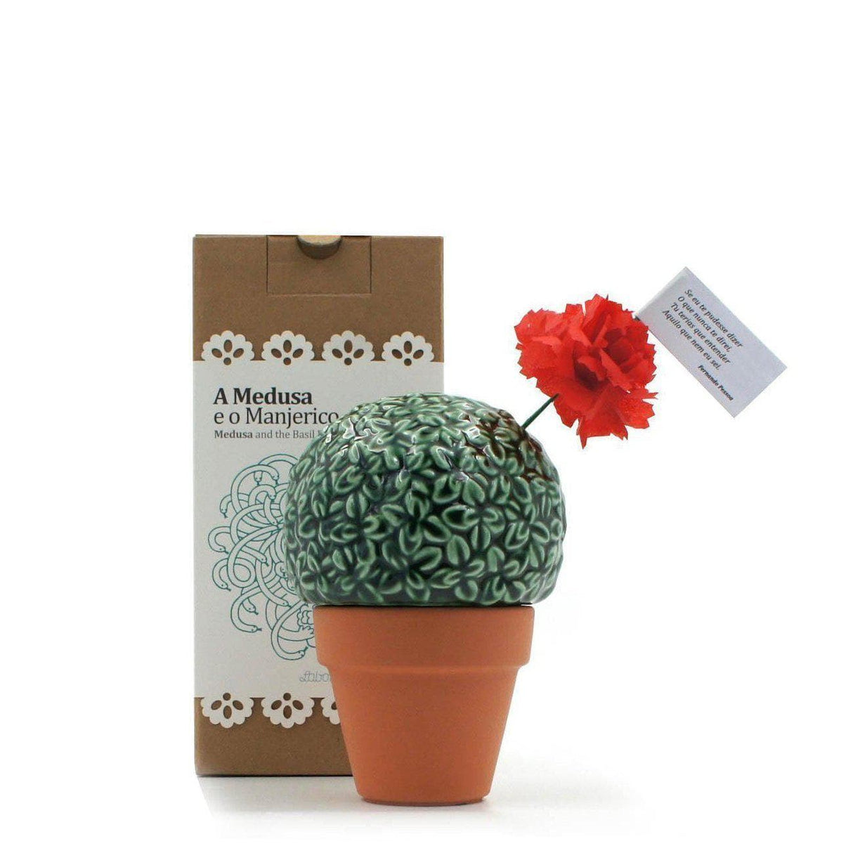 Medusa e o Manjerico I Earthenware plant