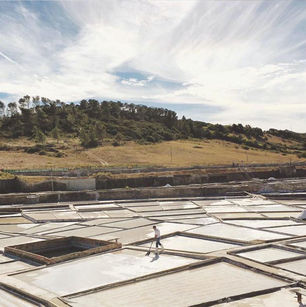 Sel aux poivrons, ail et oignons I Produit portugais Sel aux poivrons, ail et oignons