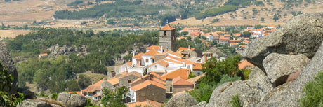 L'étrange village de Monsanto