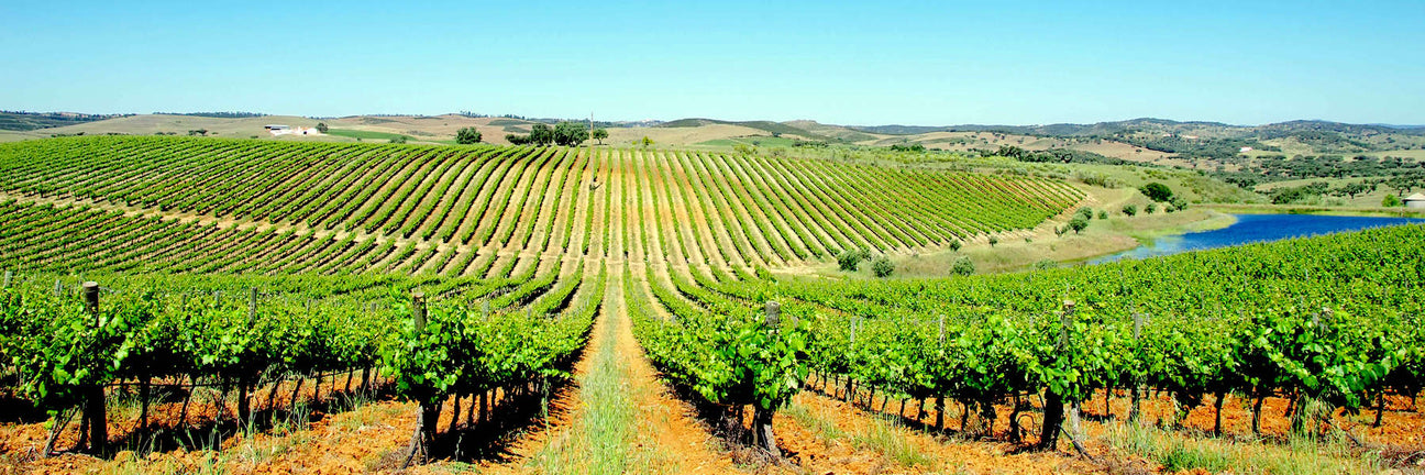Vins de l'Alentejo