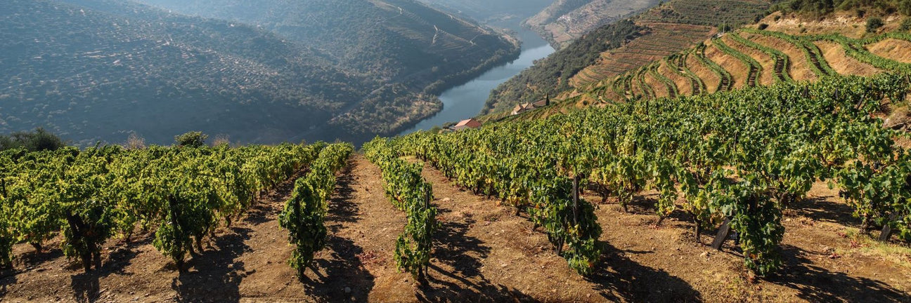 Vins du Douro