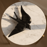 Hirondelle noir mat 20cm - vue du dessus