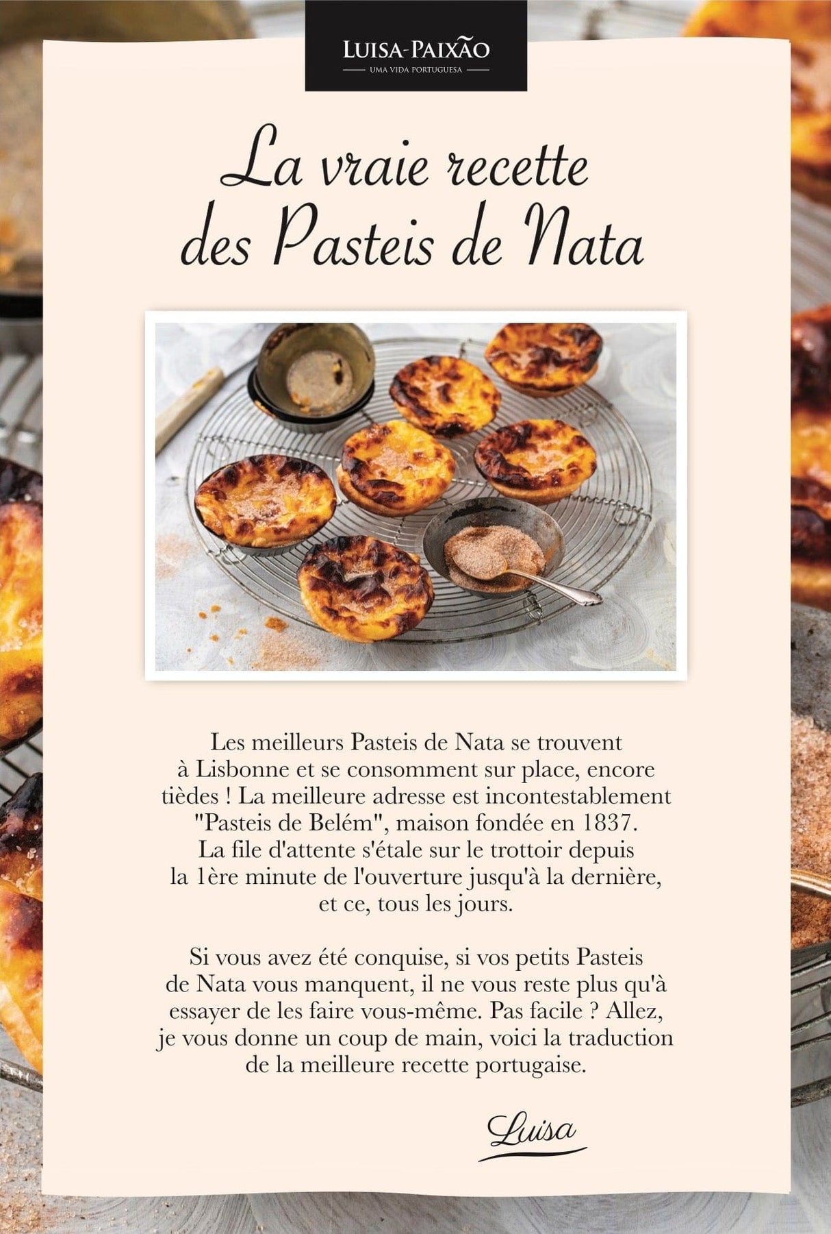 Kit Pasteis de Nata