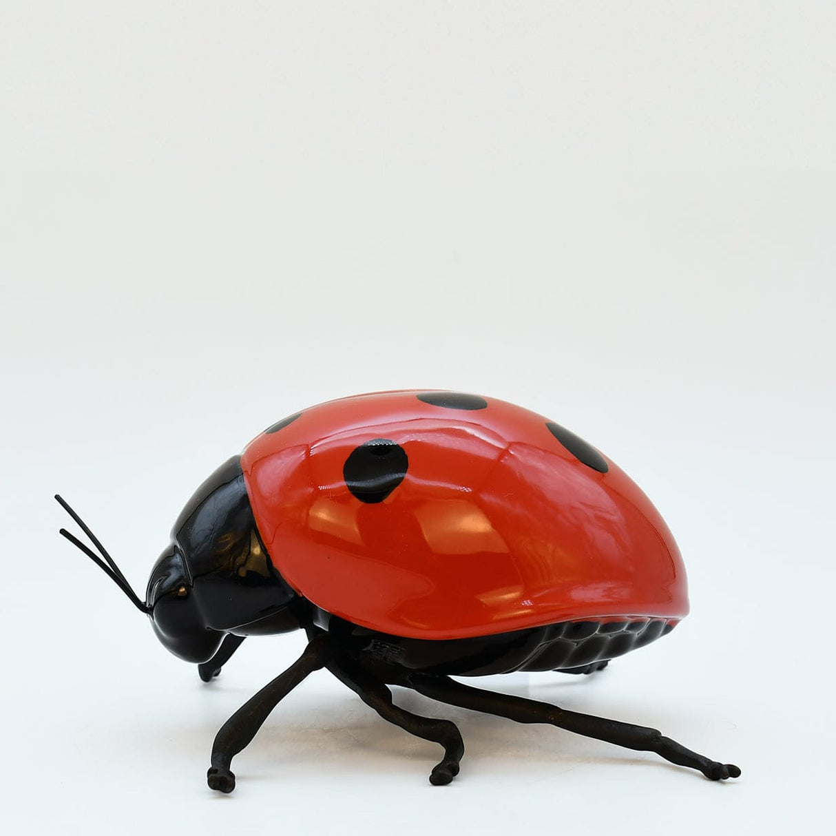 Merle I Oiseau en céramique et laiton Coccinelle en céramique "Joaninha, voa, voa"