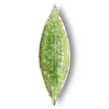 Laurel leaf I Fine Stoneware Plate - Light green