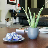 Coimbra Ceramics – Hand-Painted Decorative Ball