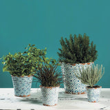 Alentejo I Terracotta Plant Pot - 12cm