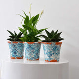 Alentejo I Terracotta Plant Pot - 12cm
