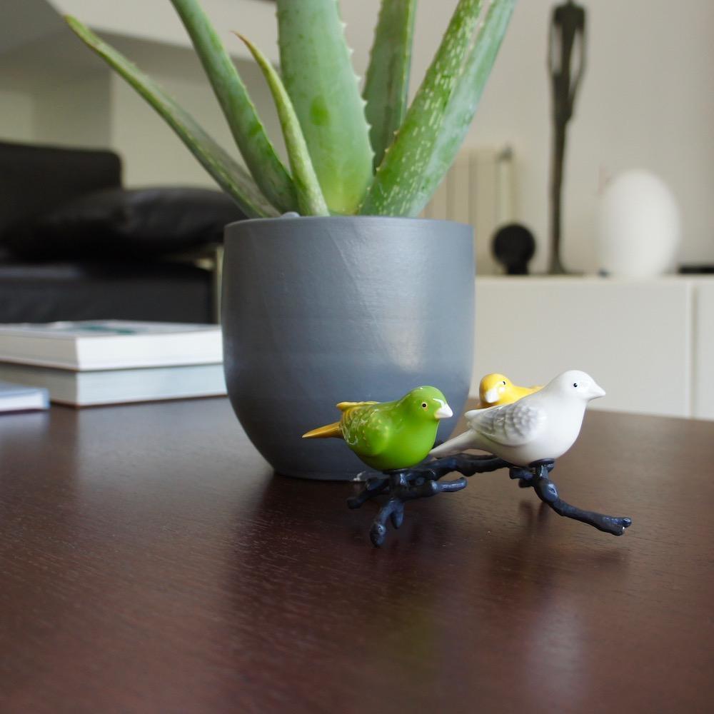 Canary in earthenware