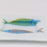 Sardinha I Fused glass shallow bowl