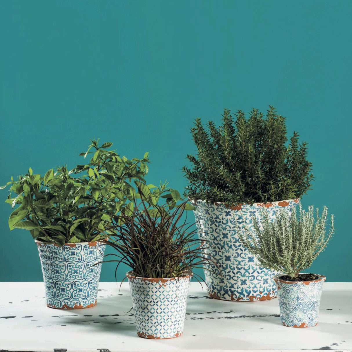 Madeira I Stoneware Ramekin - Green