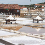 Salt from Rio Maior