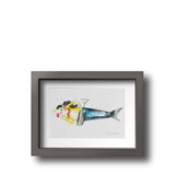 Sardinha I Drawing by Isabel Amorim