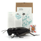 O cantar I Ceramic and brass cricket