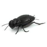 O cantar I Ceramic and brass cricket
