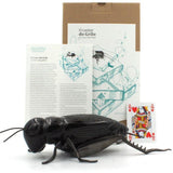 O cantar I Ceramic and brass cricket