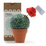 Medusa e o Manjerico I Earthenware plant