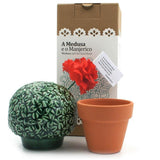 Medusa e o Manjerico I Earthenware plant