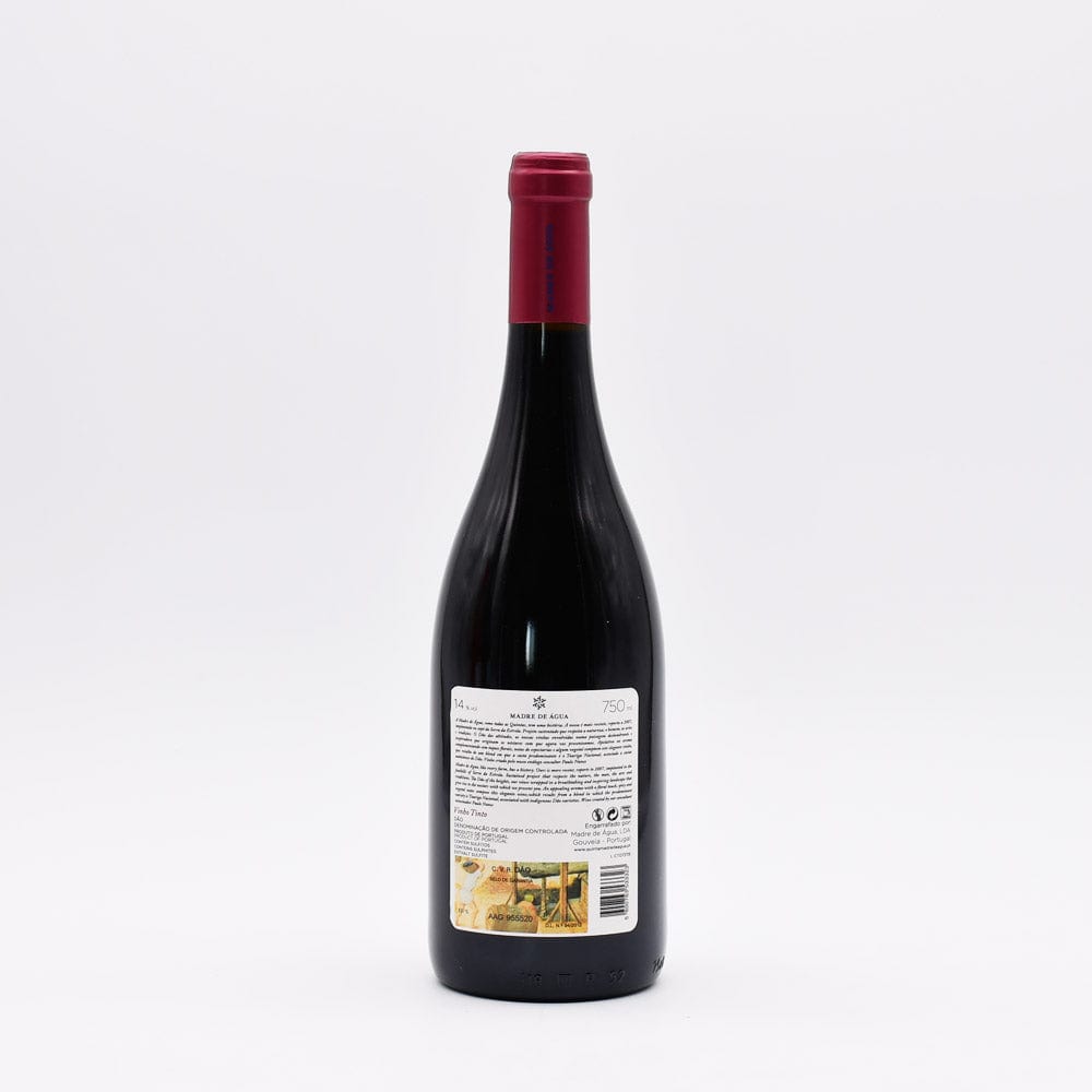 Terras Madre de água 2019 I Vin rouge du Dão - 75cl