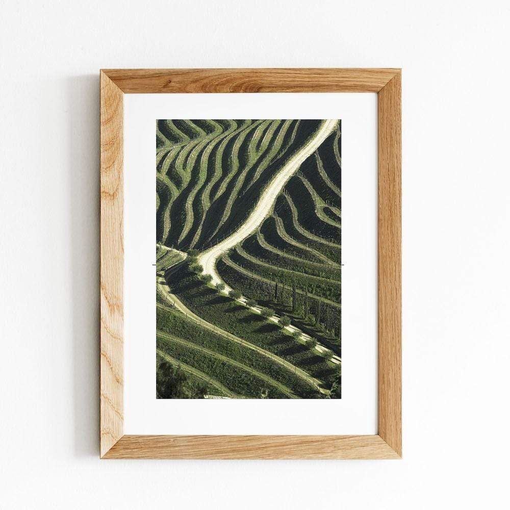 Vineyards I Signed photo print