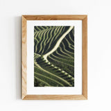 Vineyards I Signed photo print